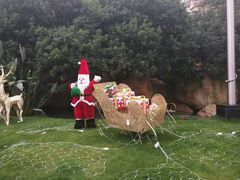 -上海浦东星河湾酒店