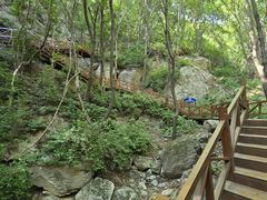 -大岭沟猕猴桃谷风景区