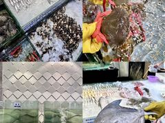 -新海利海鲜城·41年珠海老字号(夏湾店)