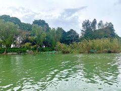 -金鸡湖游船(月光码头)
