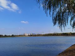 -羊山湖公园