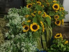 -金陵花卉交易市场
