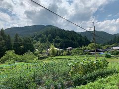 -醍醐寺