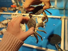 -星伦多自助料理·涮烤一体(嘉兴八佰伴店)