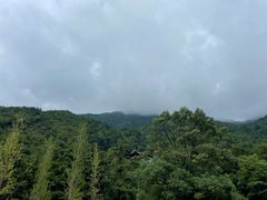 -姑婆山旅游区