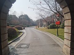 -上海瑞金洲际酒店