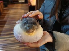 -永安鱼庄·镇江菜(丁卯店)