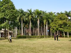 -南宁南湖公园