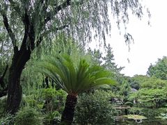 -秋霞圃
