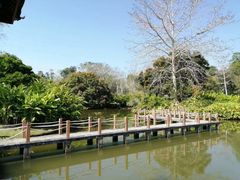 -中国科学院西双版纳热带植物园