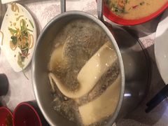 -凯鸽火锅(华林新天地店)