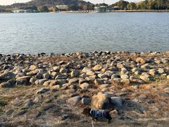 -上海月湖雕塑公园