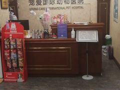 -宠爱国际动物医院· 猫科· 外科·中兽医(长白店)