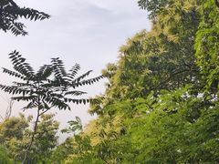 -西安祥峪森林公园