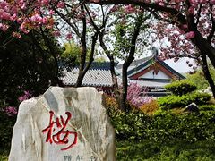 -大慈恩寺(大雁塔)