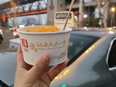 -武汉长江大桥
