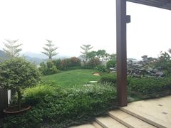 顶楼花园-珠海尊车汇龙膜精英店
