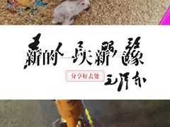 -万达广场(南京江宁店)