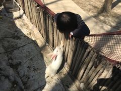 -昆山城市生态森林公园