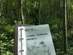 -镇江市南山风景名胜区竹林景区