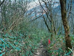 -安吉龙王山风景区