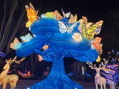 -北戴河集发农业梦想王国