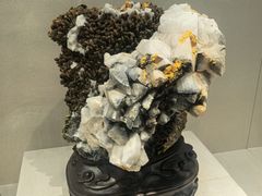 -安徽省地质博物馆