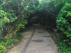 -吴淞炮台湾湿地森林公园烧烤区