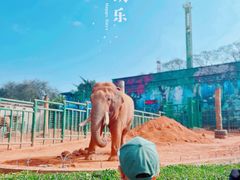 -昆明动物园