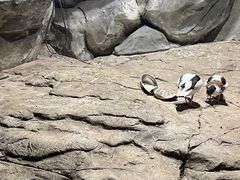 -苏州海洋馆