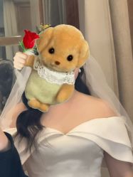 -金夫人婚纱摄影(总店)