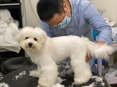 -当汪遇见喵宠物店