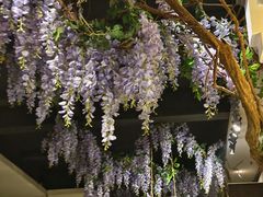 -紫腾大院·南京菜(江宁店)