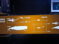 -同济大学四平路校区深海探索馆