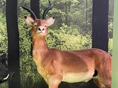 -房山世界地质公园博物馆