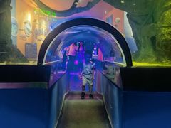 -石家庄海洋公园