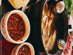 -乳仔牛牦牛汤锅 烤羊排(松潘古城店)
