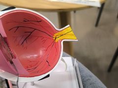 -武汉大学附属爱尔眼科医院(湖北总院)