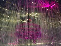 景观位-尚之韵音乐餐厅