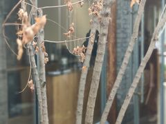 -VOYAGE COFFEE(杨梅竹店)