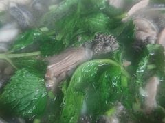 -攀枝花·任德琼·盐边羊肉米线