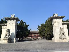 -洛阳古墓博物馆