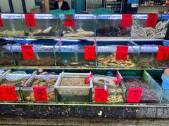 -金海湾海鲜排档(朱家尖店)