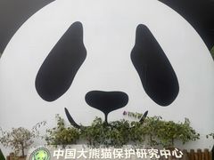 -都江堰中华大熊猫苑