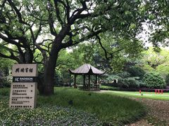 -上海兴国宾馆香樟园西餐厅