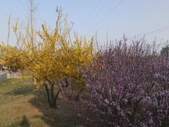 景点-甘井子公园