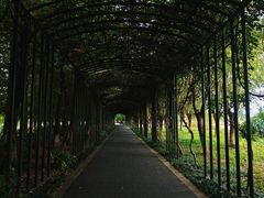 -苏州太湖国家湿地公园