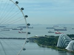 -新加坡泛太平洋酒店