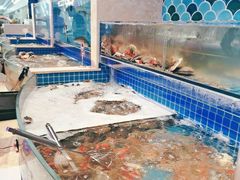 水产区-乔哥铭洋海鲜自助(皇城恒隆广场店)