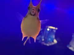 -大连圣亚海洋世界